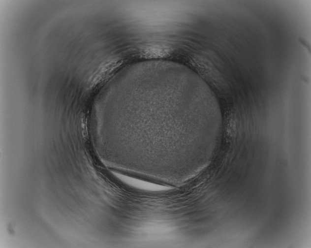 X0000099450743200805231741