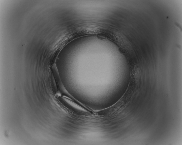 X0000099450744200805231741