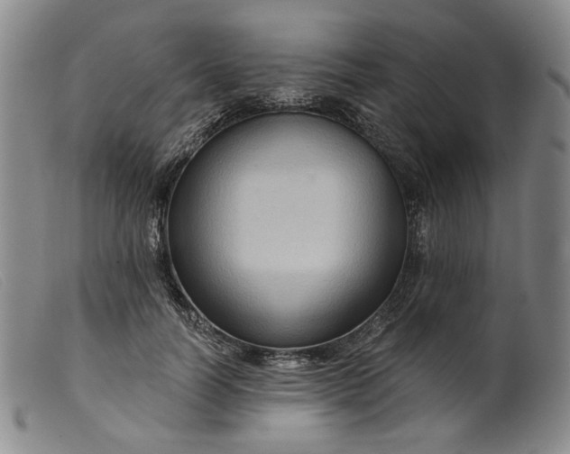 X0000099450746200805231741