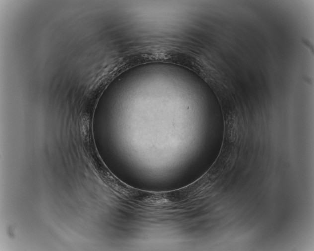 X0000099450747200805231741