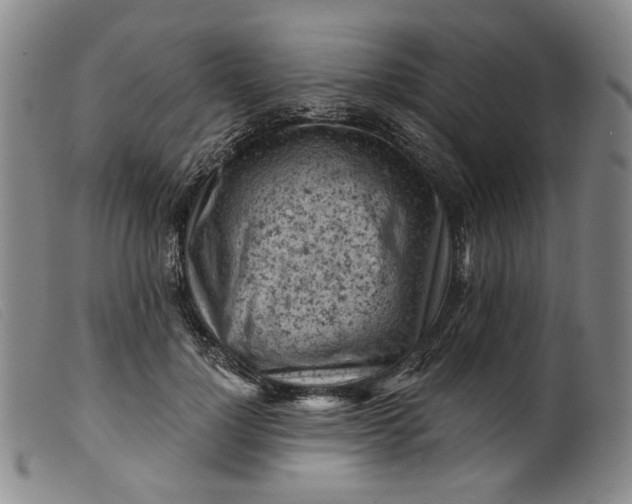 X0000099450748200805231741