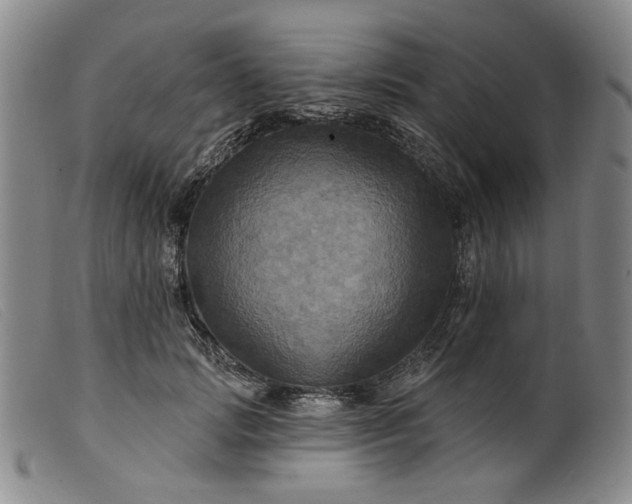 X0000099450749200805231741