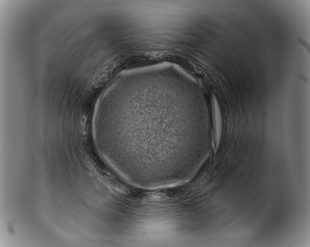 X0000099450750200805231741