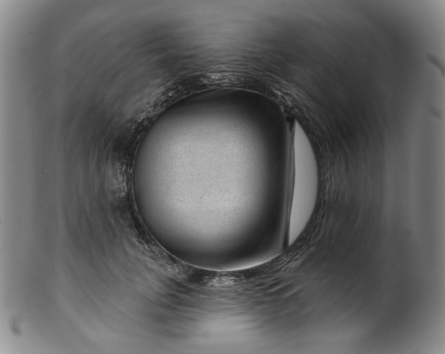 X0000099450751200805231741