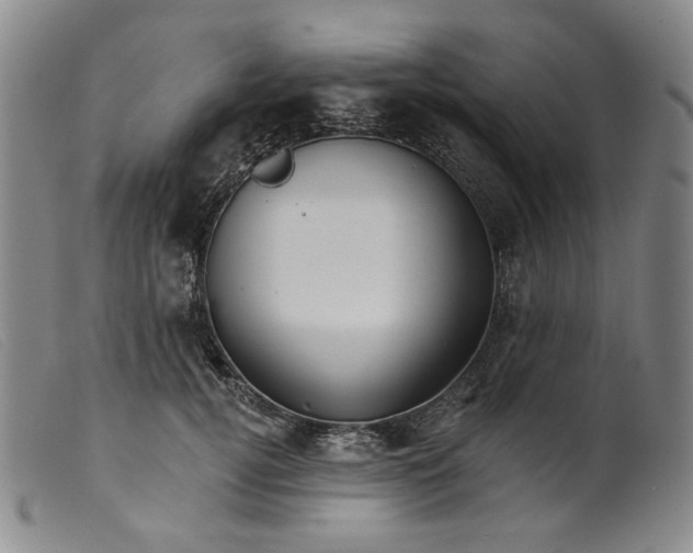 X0000099450752200805231741