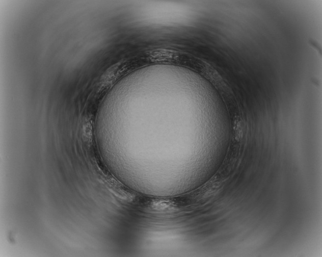 X0000099450753200805231741