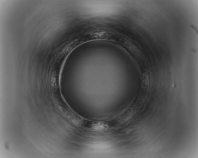 X0000099450754200805231741