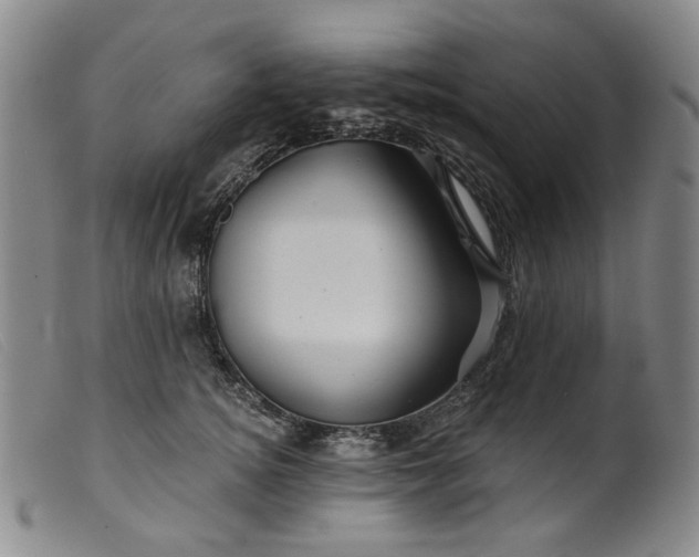 X0000099450756200805231741