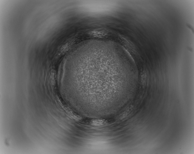 X0000099450757200805231741