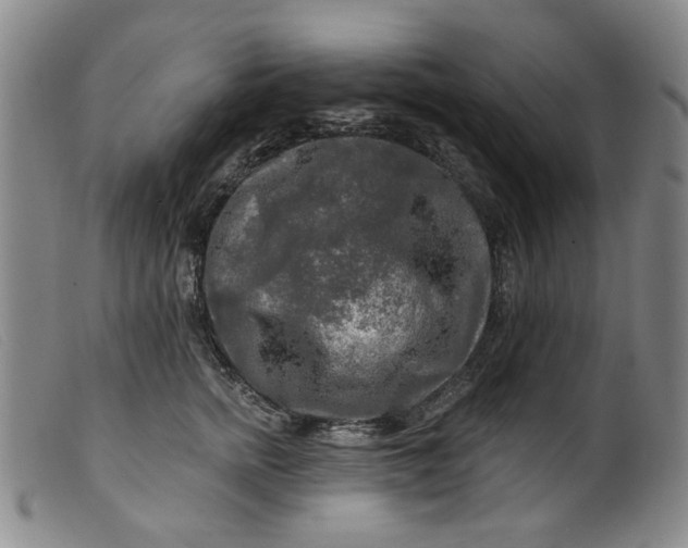 X0000099450758200805231741