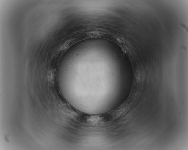 X0000099450759200805231741