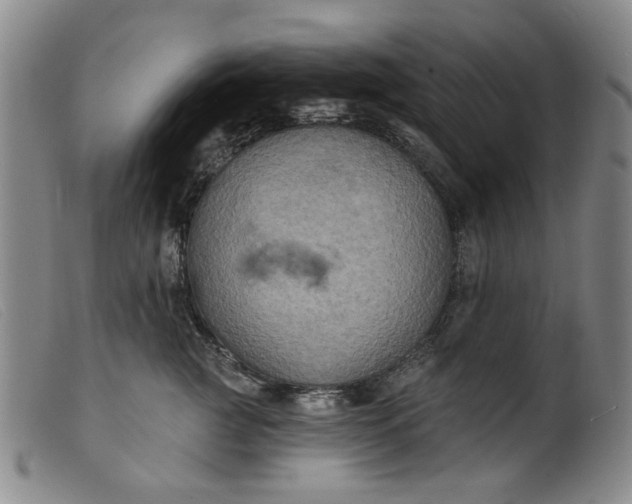 X0000099450761200805231741