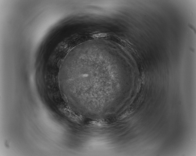 X0000099450763200805231741