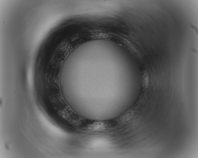 X0000099450764200805231741