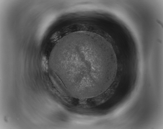 X0000099450766200805231741