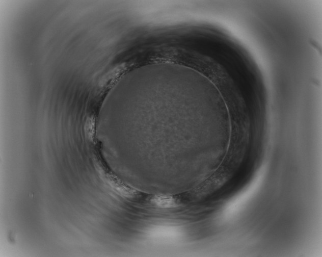 X0000099450767200805231741