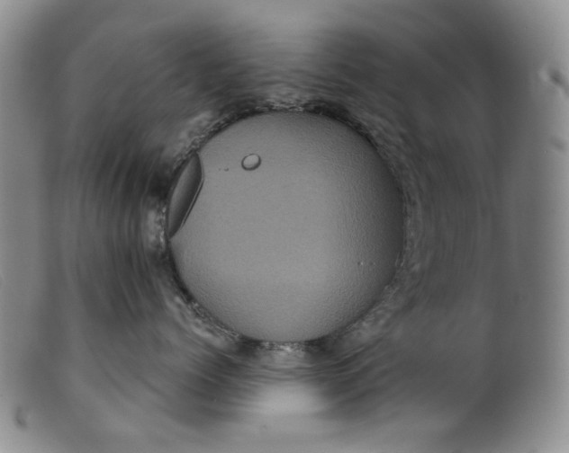 X0000099450768200805231741