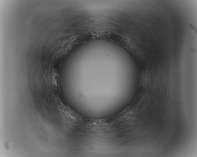 X0000099450770200805231741