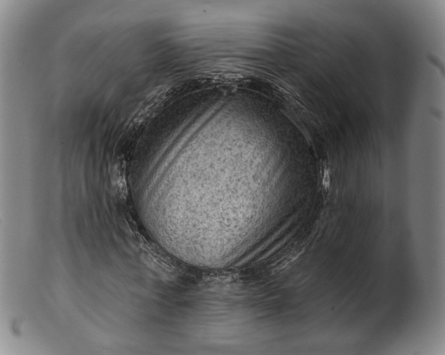 X0000099450771200805231741