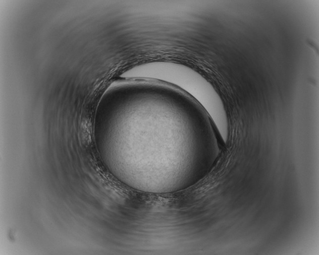 X0000099450772200805231741