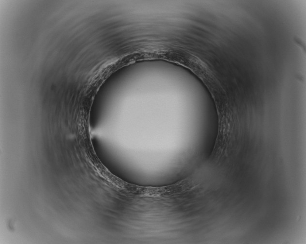 X0000099450773200805231741