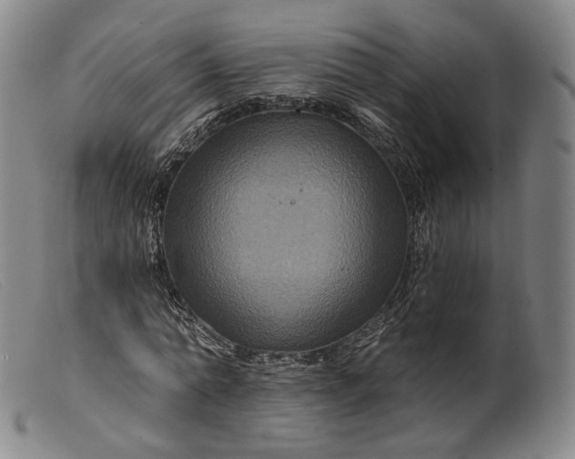 X0000099450774200805231741