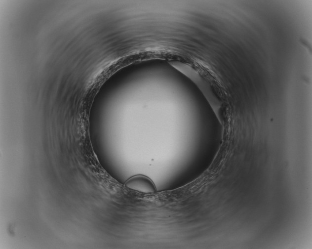 X0000099450776200805231740