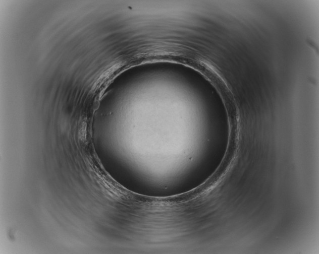 X0000099450777200805231740