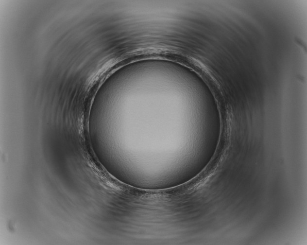 X0000099450778200805231740