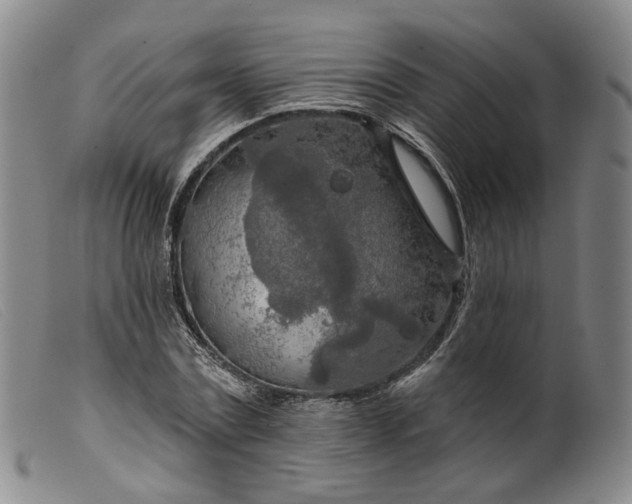 X0000099450779200805231740