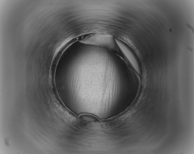 X0000099450780200805231740