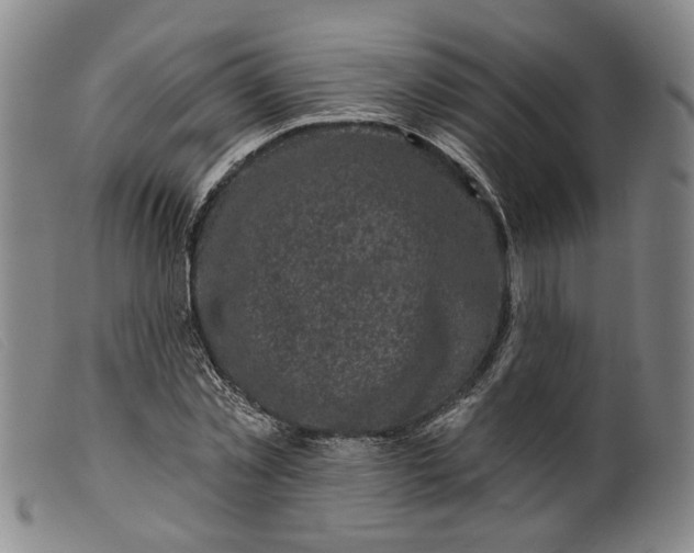 X0000099450781200805231740