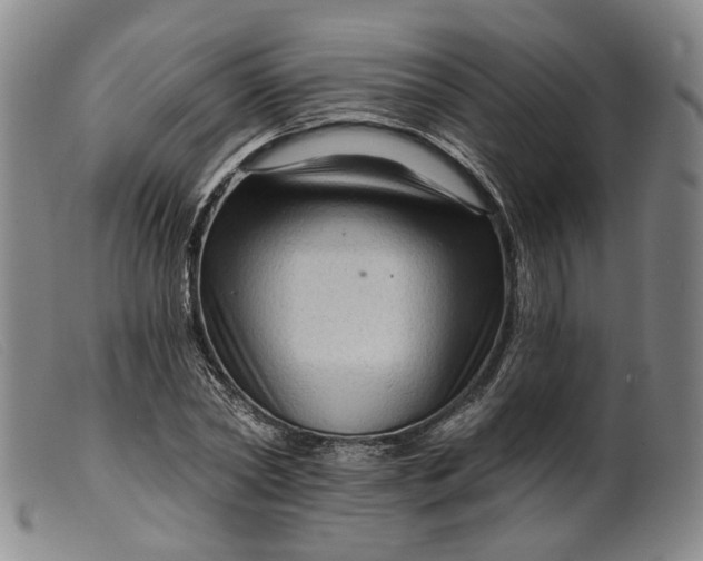 X0000099450782200805231740