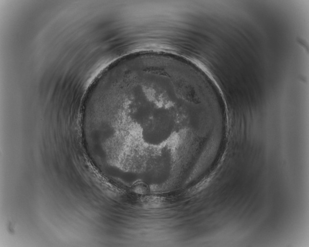 X0000099450783200805231740