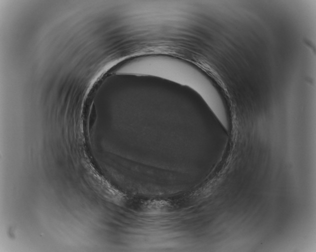 X0000099450784200805231740