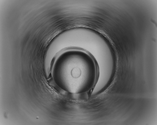 X0000099450785200805231740