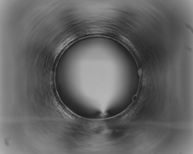 X0000099450786200805231740