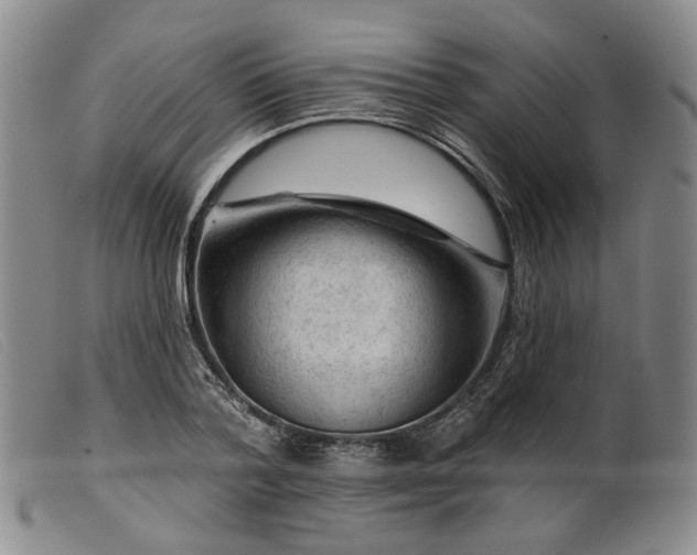 X0000099450788200805231740