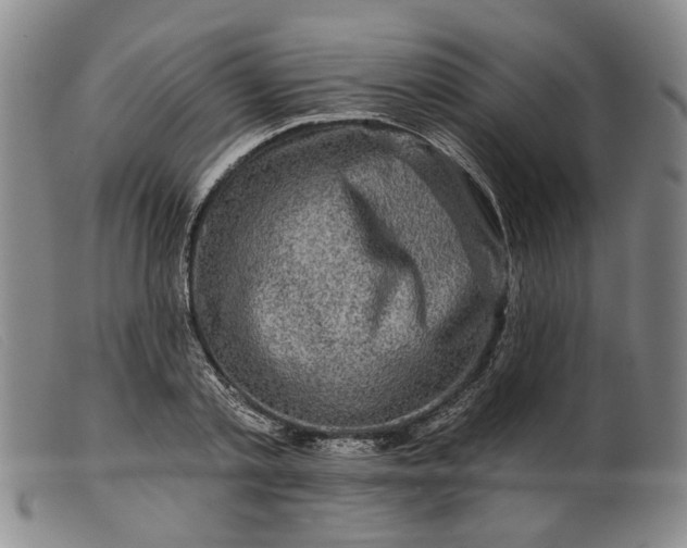 X0000099450789200805231740