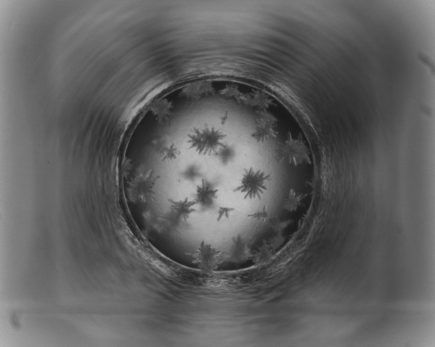 X0000099450790200805231740