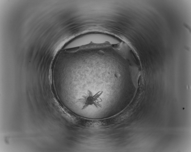 X0000099450791200805231740