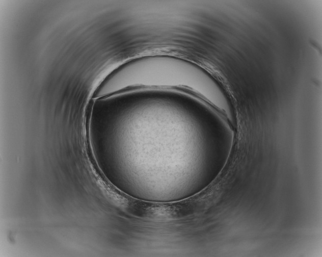 X0000099450792200805231740