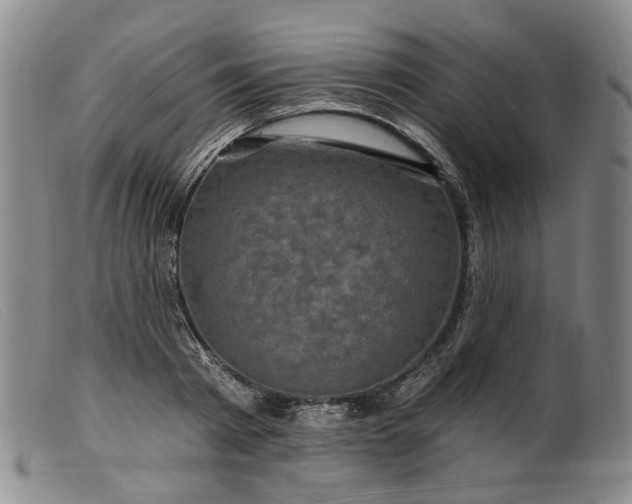 X0000099450793200805231740