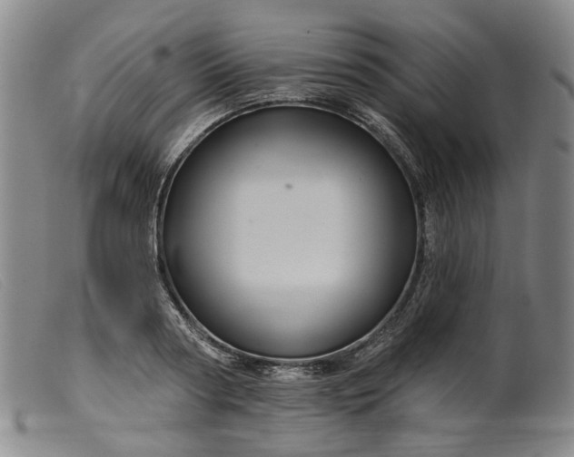 X0000099450794200805231740