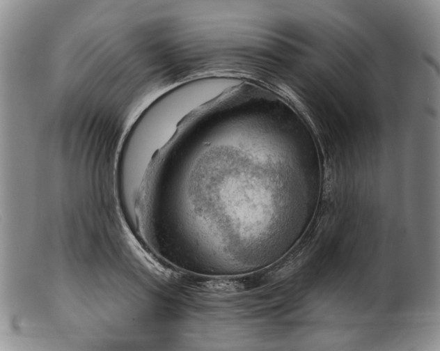 X0000099450795200805231740