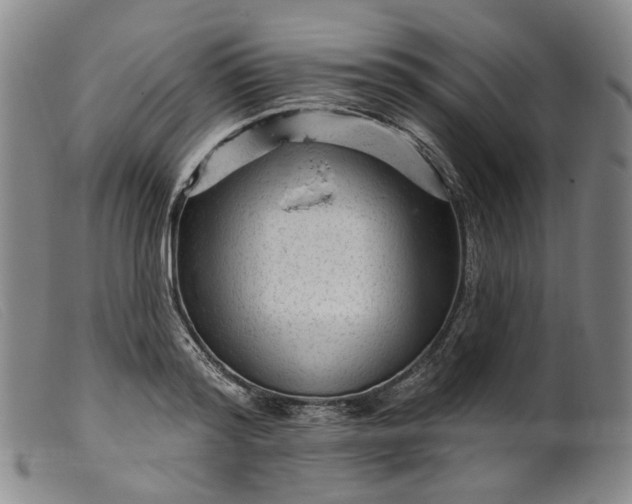 X0000099450796200805231740