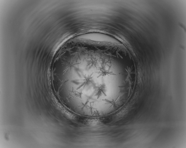 X0000099450798200805231740