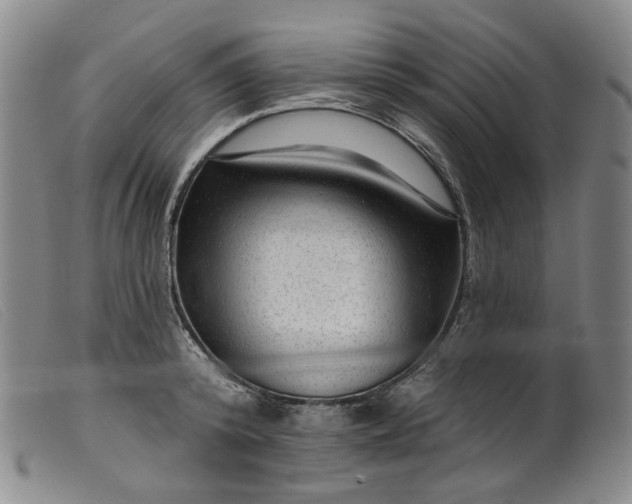 X0000099450800200805231740