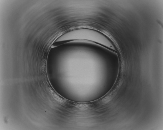 X0000099450801200805231740