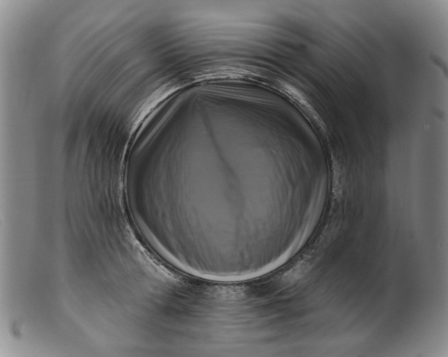 X0000099450802200805231740